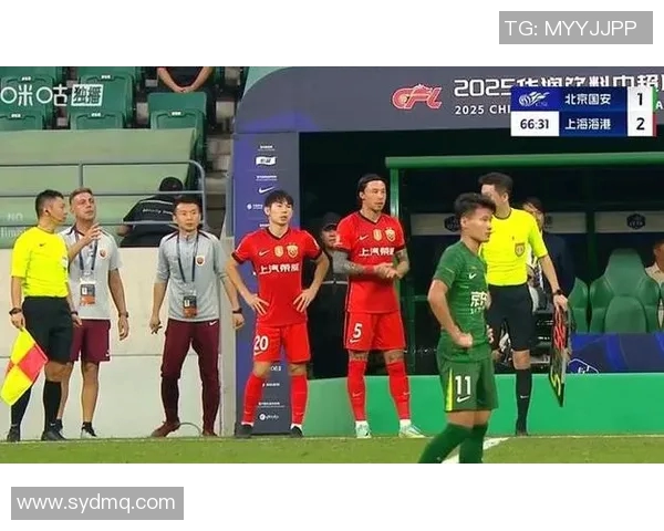 张琳芃在北京国安的表现如何影响球队战绩与未来发展分析